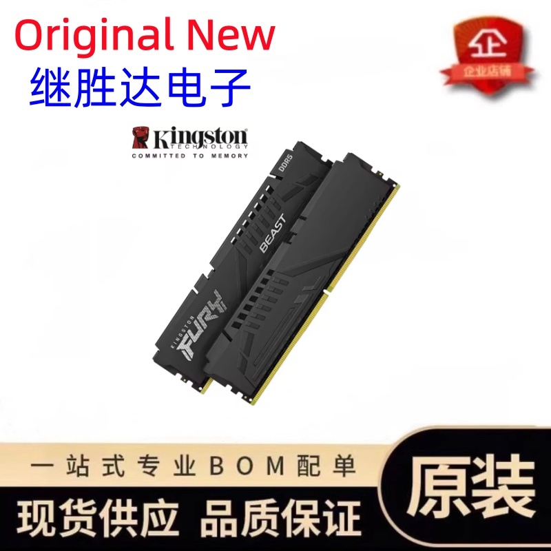 Kingston FURY Beast DDR5 Speic – Ddr5 6000Mhz Bewertung und Preis