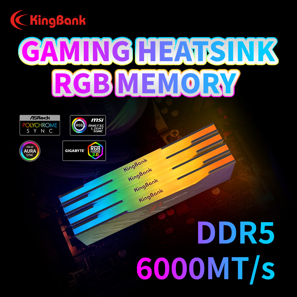 KingBank KRRB DDR5 RGB SoarBla – Ddr5 4800Mhz Bewertung und Preis