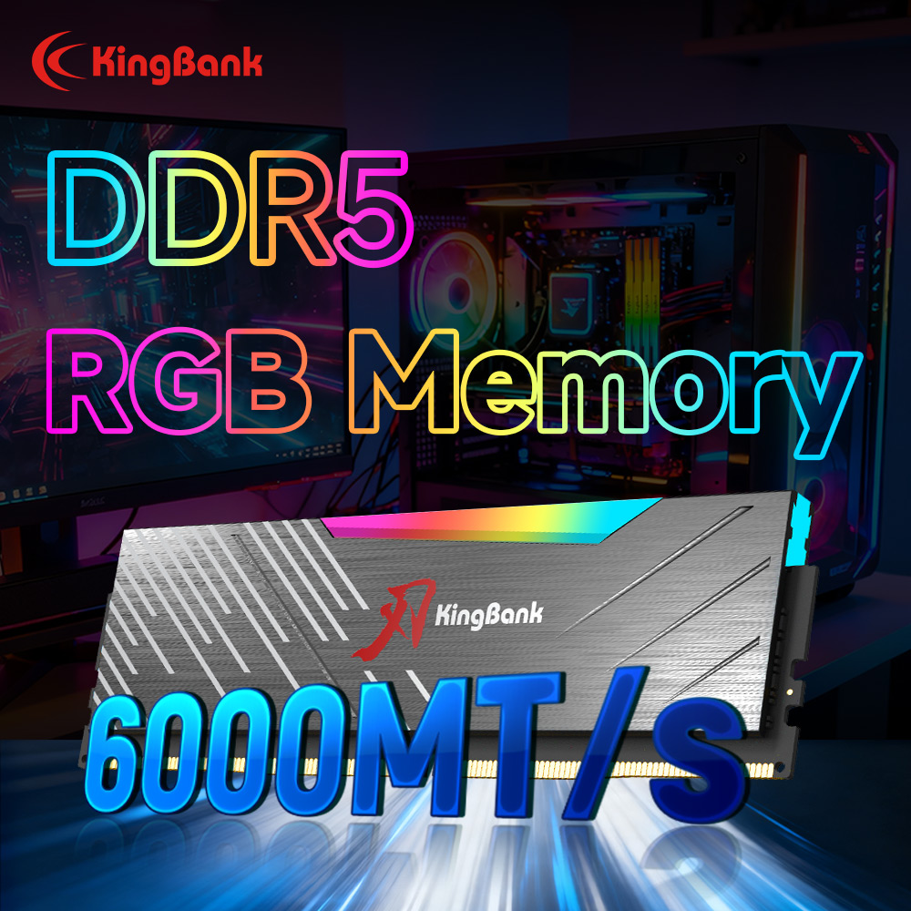 KingBank KRRB DDR5 RGB SoarBla – Ddr5 4800Mhz Bewertung und Preis